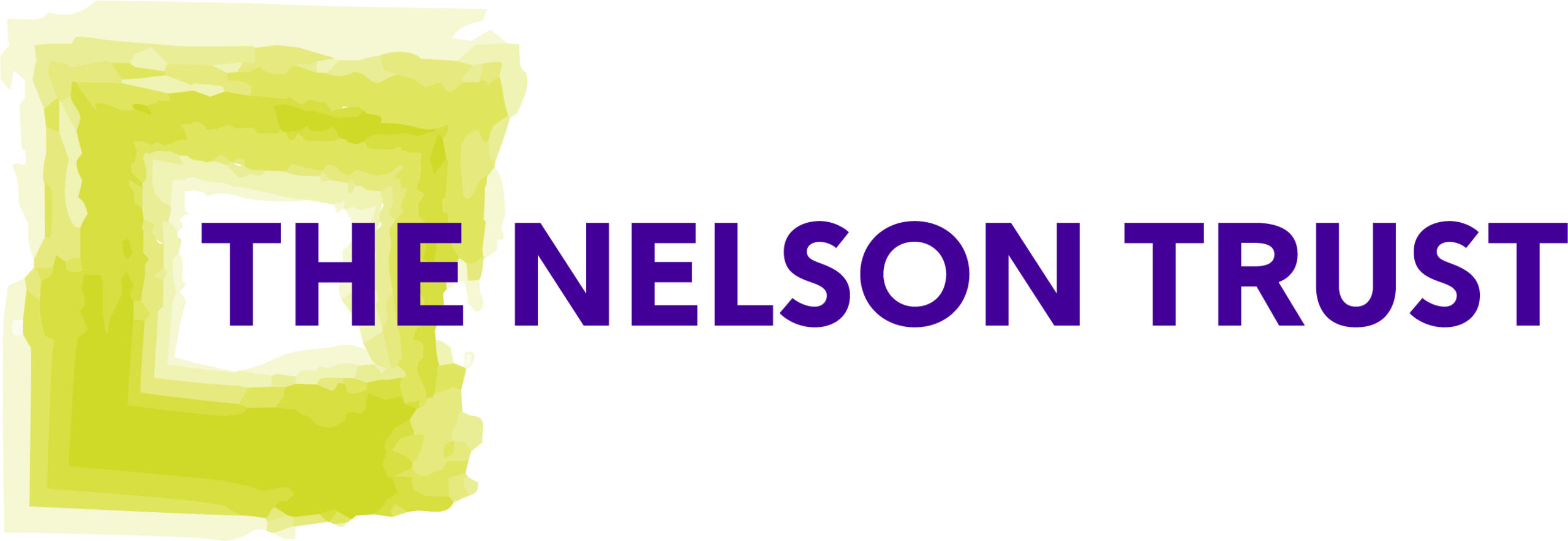 Nt Logo Soft