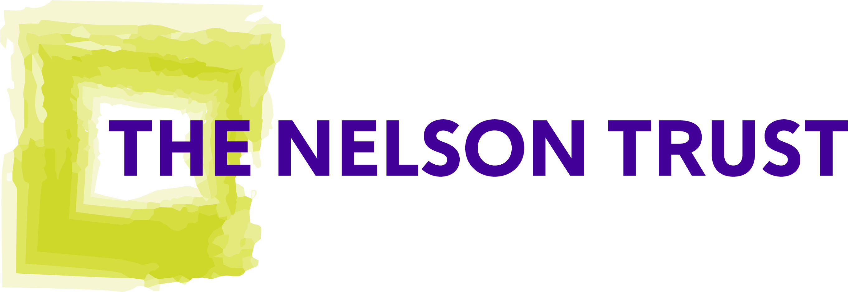Nt Logo Soft